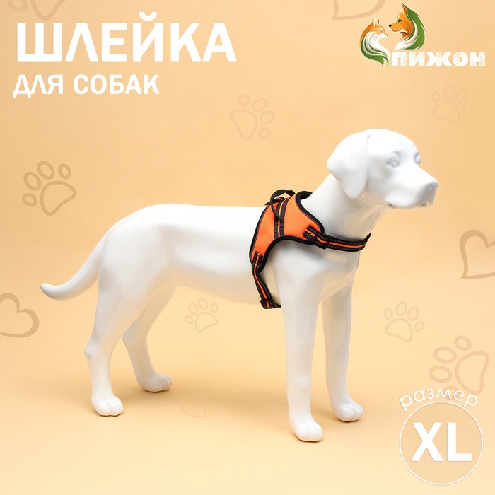 Шлейка К7 мягкая светоотражающая, размер XL, ОГ 74-92 см, вес 28-47,5 кг, оранженвая
Шлейка К7 мягкая светоотражающая, размер XL, ОГ 74-92 см, вес 28-47,5 кг, оранженвая