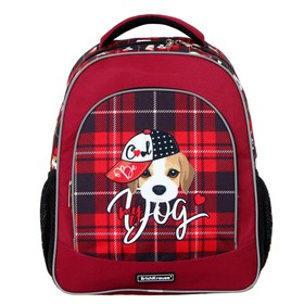 Рюкзак школьный Erich Krause ErgoLine 15L, 39 х 28 х 14 см, эргономичная спинка, Cute Dog 51599
Рюкзак школьный Erich Krause ErgoLine 15L, 39 х 28 х 14 см, эргономичная спинка, Cute Dog 51599