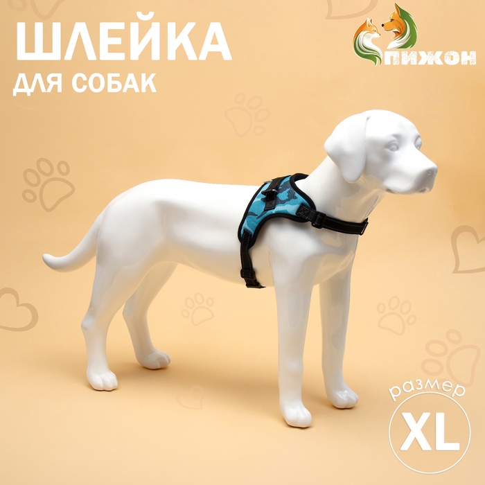 Шлейка К7 мягкая светоотражающая, размер XL, ОГ 74-92 см, вес 28-47,5 кг, голубая хаки
Шлейка К7 мягкая светоотражающая, размер XL, ОГ 74-92 см, вес 28-47,5 кг, голубая хаки
