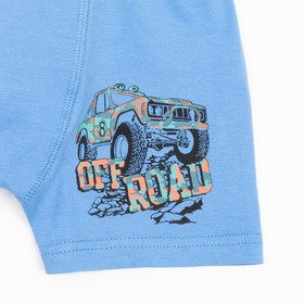 Трусы для мальчика (боксеры), цвет васильковый, рост 146 см
Трусы для мальчика (боксеры), цвет васильковый, рост 146 см