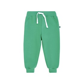 Брюки для мальчика, рост 80 см, цвет зелёный 
Брюки для мальчика, рост 80 см, цвет зелёный