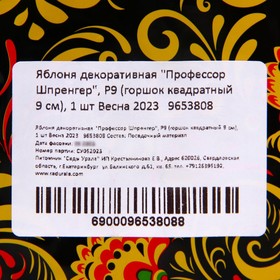 Яблоня декоративная "Профессор Шпренгер", Р9 (горшок квадратный 9 см), 1 шт Весна 2023
Яблоня декоративная "Профессор Шпренгер", Р9 (горшок квадратный 9 см), 1 шт Весна 2023