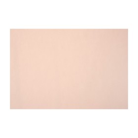 Бумага для пастели Mi-Teintes CANSON, 21 х 29.7 см, 1 лист, №103 Розовый рассвет, 160 г/м2
Бумага для пастели Mi-Teintes CANSON, 21 х 29.7 см, 1 лист, №103 Розовый рассвет, 160 г/м2