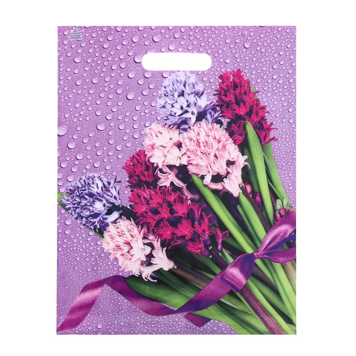 Пакет "Нежные гиацинты", полиэтиленовый с вырубной ручкой, 31х40 см, 60 мкм
Пакет "Нежные гиацинты", полиэтиленовый с вырубной ручкой, 31х40 см, 60 мкм