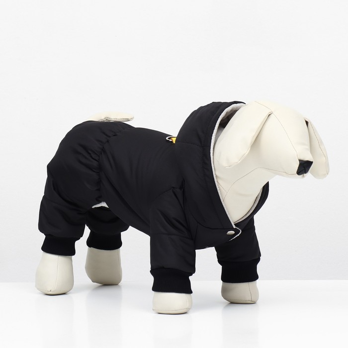 Комбинезон для животных, зимний на флисе, 2XL(ДС 34-36 см, ОГ 50-52 см, ОШ 34 см), чёрный
Комбинезон для животных, зимний на флисе, 2XL(ДС 34-36 см, ОГ 50-52 см, ОШ 34 см), чёрный