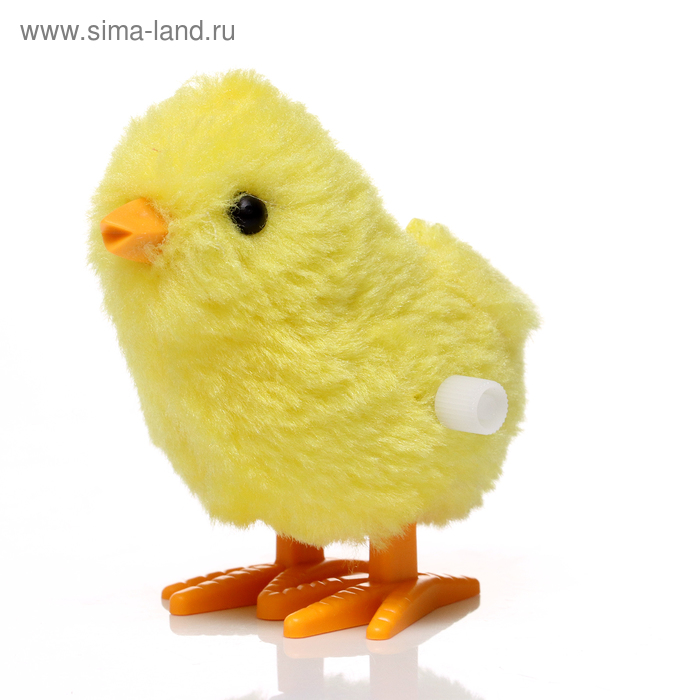 3d