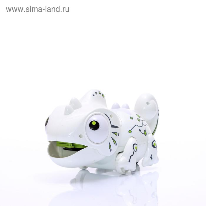 3d