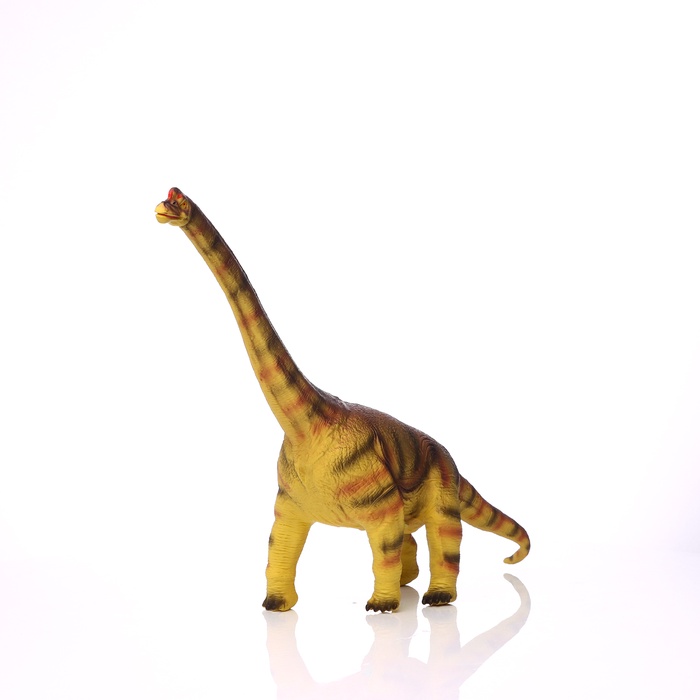 3d