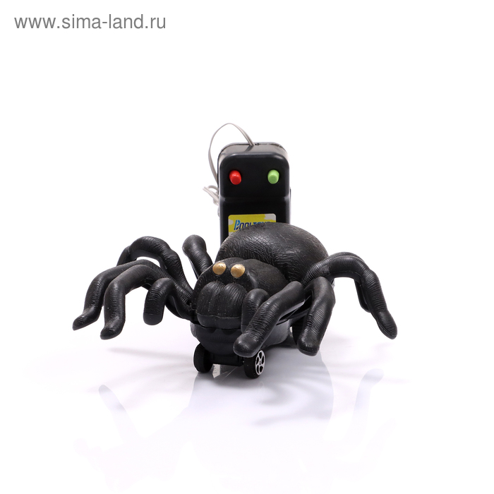 3d