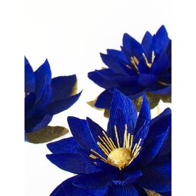 Бумага гофрированная, 955 "Тёмно-синяя", 0,5 х 2,5 м