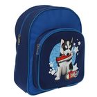 Рюкзак детский на молнии, 1 отдел, 1 наружный карман, цвет синий/голубой - Фото 1