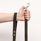 Поводок брезентовый 5 м × 2 см, тёмно-зелёный - Фото 6