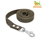 Поводок брезентовый 2 м х 2,5 см, тёмно-зелёный - Фото 1