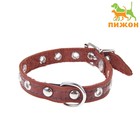 Ошейник кожаный тисненый однослойный, 29×1.2 см, безразмерный, микс цветов - Фото 1