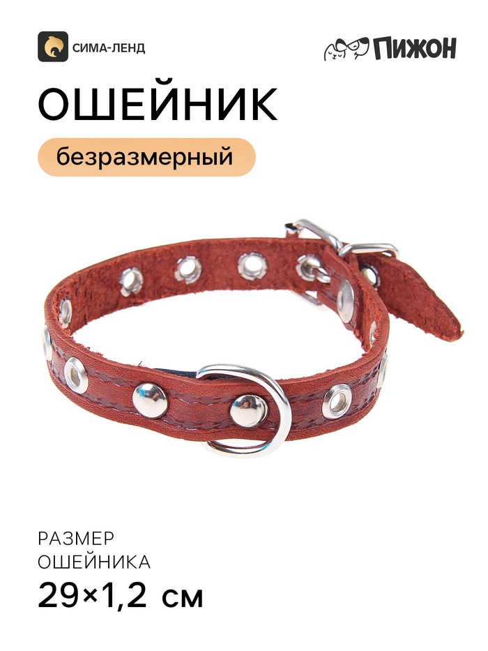 Ошейник кожаный тисненый однослойный, 29×1.2 см, безразмерный, микс цветов - Фото 1