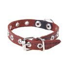 Ошейник кожаный тисненый однослойный, 29×1.2 см, безразмерный, микс цветов - Фото 2