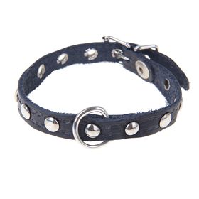 Ошейник тисненый однослойный, 31×1.2 см, украшенный, кожа, цвет МИКС