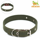 Ошейник брезентовый двухслойный, 59,5 х 2,5 см, ОШ 30-55 см, тёмно-зелёный - Фото 1