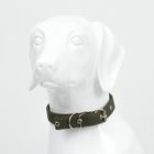 Ошейник брезентовый двухслойный, 59,5 х 2,5 см, ОШ 30-55 см, тёмно-зелёный - Фото 7