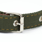 Ошейник брезентовый двухслойный, 59,5 х 2,5 см, ОШ 30-55 см, тёмно-зелёный - Фото 2