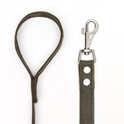 Поводок брезентовый 3 м × 2.5 см, тёмно-зелёный - Фото 2