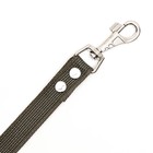 Поводок брезентовый 3 м × 2.5 см, тёмно-зелёный - Фото 4