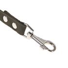 Поводок брезентовый 5 м х 2,5 см, тёмно-зелёный - Фото 2