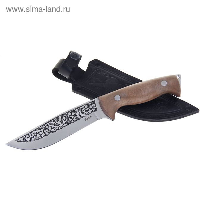 Нож туристический "Фазан" - 50231, сталь AUS8, г. Кизляр - Фото 1