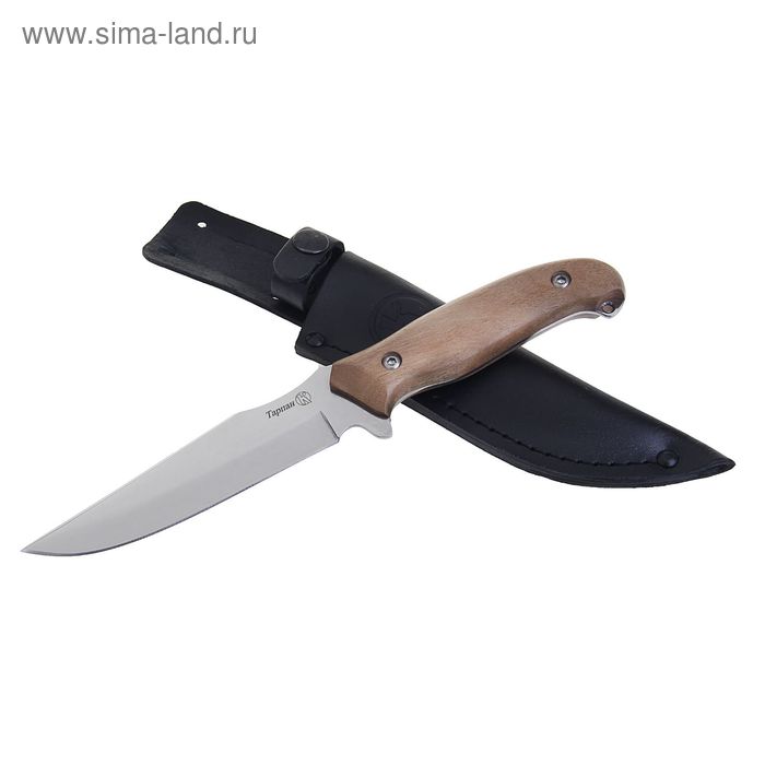 Нож разделочный "Тарпан" - 37231, сталь AUS8, г. Кизляр - Фото 1