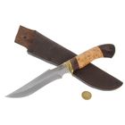 Нож "Кардинал" (5220)б, рукоять-карельская береза, булатная сталь - Фото 3
