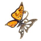 Брошь "Янтарь" бабочка, цвет коньячный - Фото 1