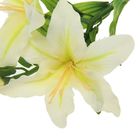 Цветы искусственные лилия 82 см Юнона белая - Фото 2