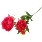Цветы искусственные Королевский пион 72 см розовый - Фото 1