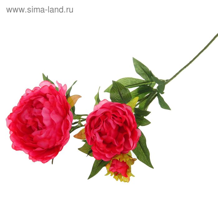Цветы искусственные Королевский пион 72 см розовый - Фото 1