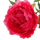 Цветы искусственные Королевский пион 72 см розовый - Фото 2