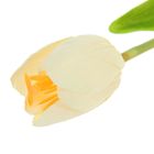 Цветы искусственные тюльпан 48 см Триумф белый - Фото 2