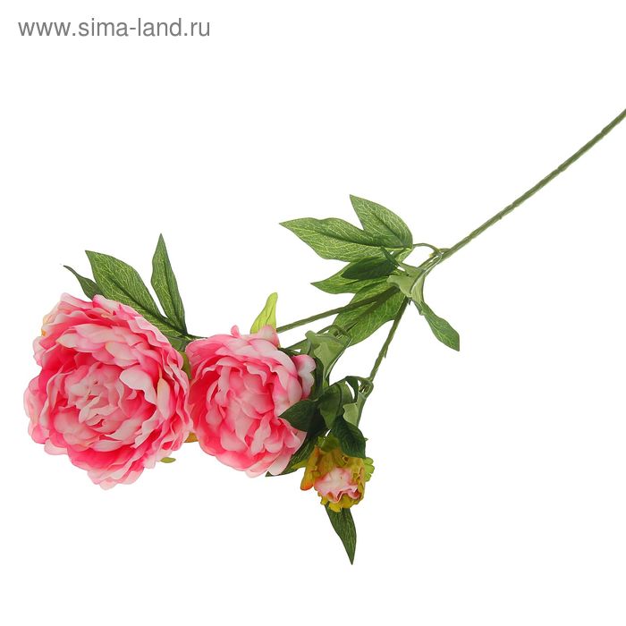Цветы искусственные Королевский пион 72 см светло-розовый - Фото 1