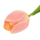 Цветы искусственные тюльпан 48 см Триумф бело-розовый - Фото 2