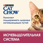 Акция +25%! Сухой корм CAT CHOW для кошек, профилактика МКБ, 2 кг - Фото 3