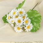 Букет искусственный «Ромашки галант», h=20 см - Фото 1