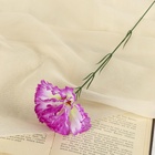 Цветы искусственные «Гвоздика», h=37 см, d=7 см, сиреневые - Фото 2