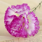 Цветы искусственные «Гвоздика», h=37 см, d=7 см, сиреневые - Фото 3