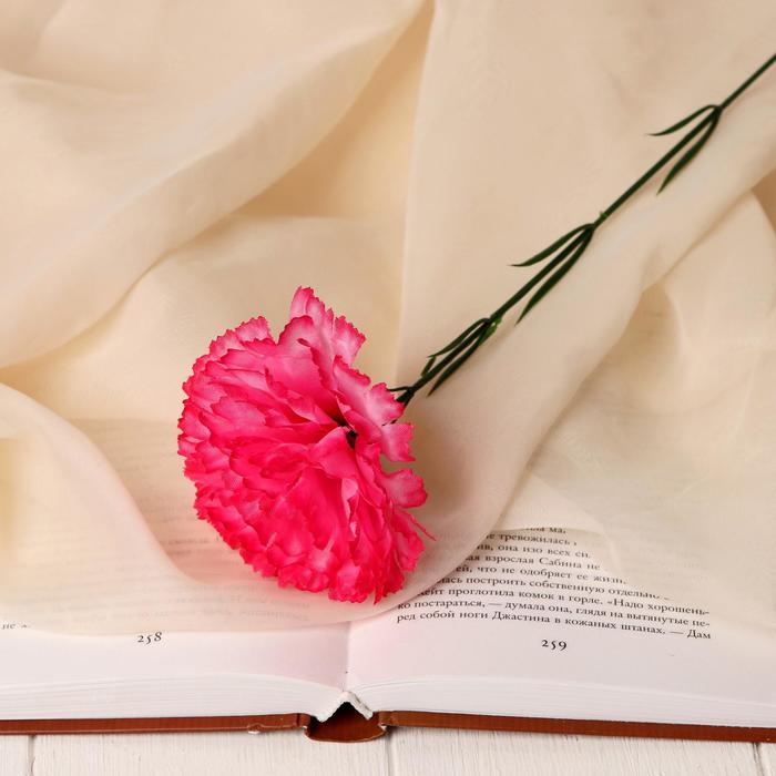 Цветы искусственные "Гвоздика" 37 см, розовый - Фото 1