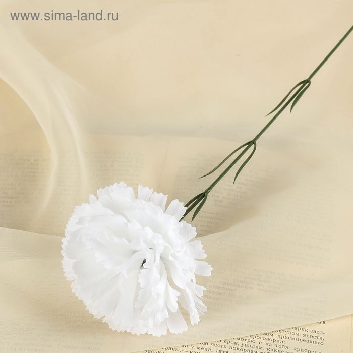 цветы искусственные гвоздика 37 см белый - Фото 1