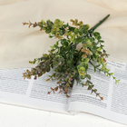 Букет «Фикус. Домашний», h=32 см - Фото 1