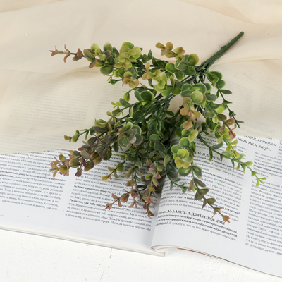 Букет «Фикус. Домашний», h=32 см