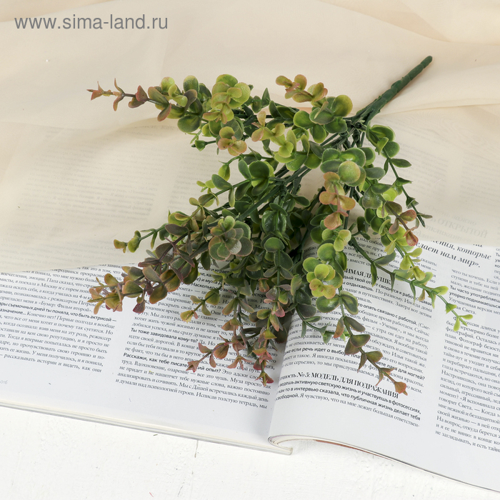 Букет «Фикус. Домашний», h=32 см - Фото 1