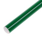 Палка гимнастическая 30 см, цвет: зеленый - Фото 1