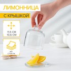 Лимонница стеклянная Basic, с крышкой 1278352 - фото 5707505