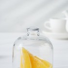 Лимонница стеклянная Basic, с крышкой - Фото 4